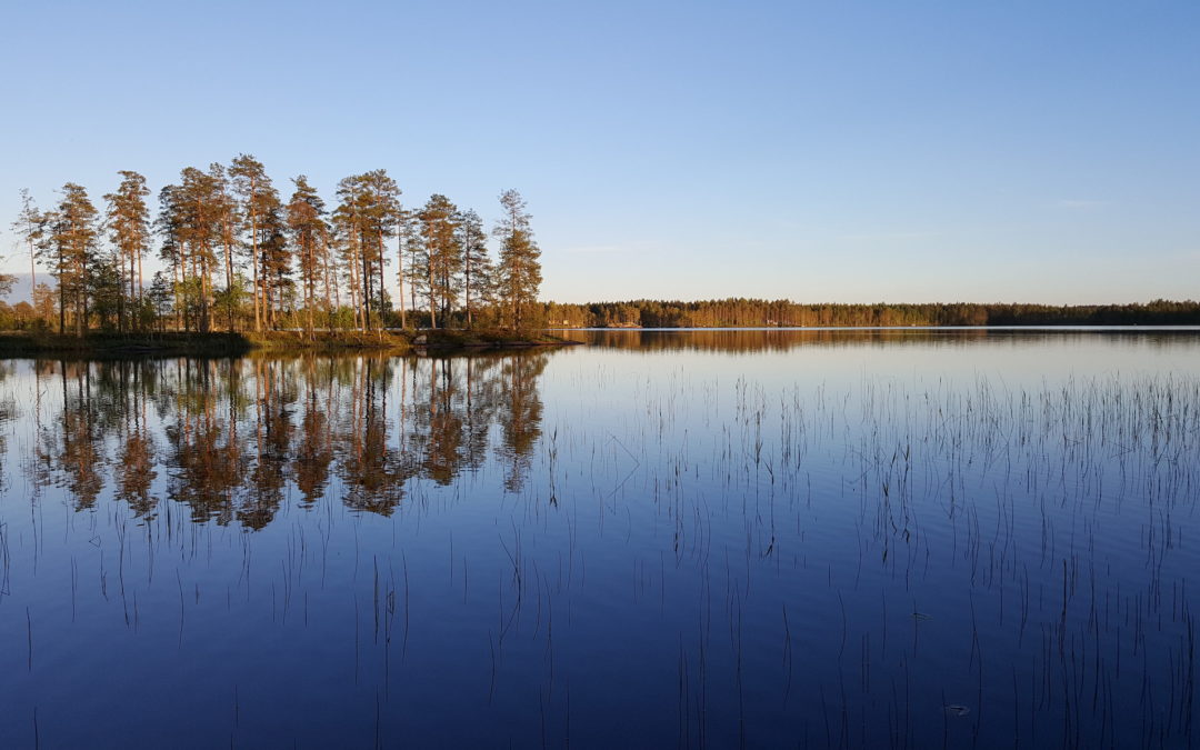 Matkailuvaunualueet